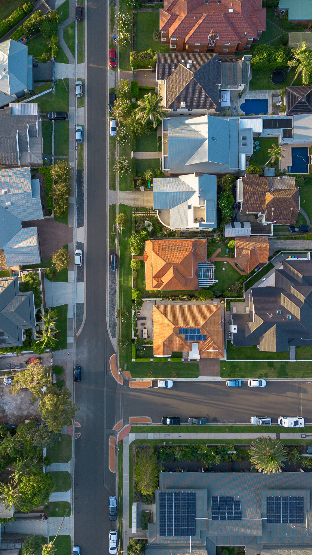 Aerial view of a leafy residential street
